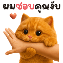 มะเหมียว สีส้ม