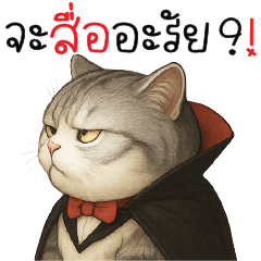 จะสื่ออะไร ?!