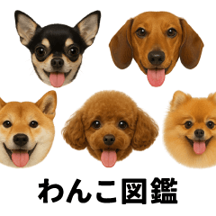 わんこ図鑑/犬/ドッグ/スタンプ