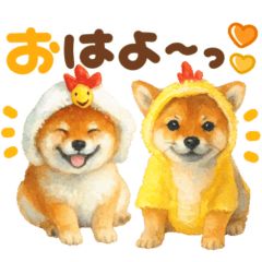 優しい水彩画♡柴犬スタンプ