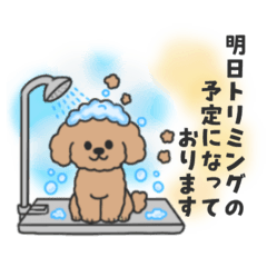 トリミングサロンに使えるスタンプ①