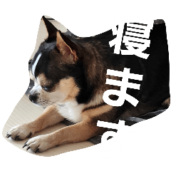 Lotus_20251009221411