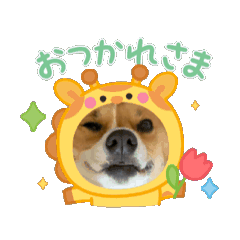 Lulu_20251010115125