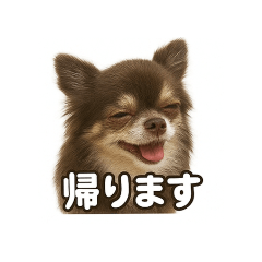 mokachiro_20251010121448
