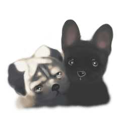 Illustrated Puppy Collection