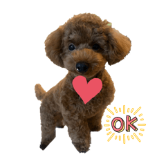 sayuri_20251009230234