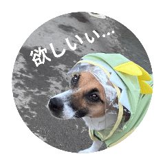 umeume_20251010132525