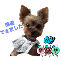 yukari_20251010134853