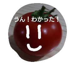 tomatohan