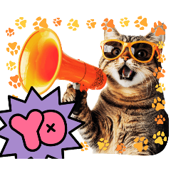 fou-qua-sse8_20251009213404