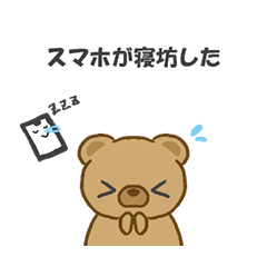 Lie? Truth? Apologetic Bear