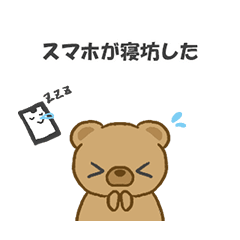 Lie? Truth? Apologetic Bear