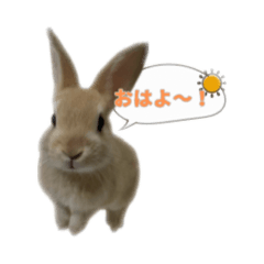 Kinako Relaxing Stickers