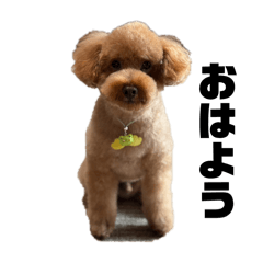 Hayato_20251010090059