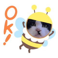 marimn1207_20251010124739