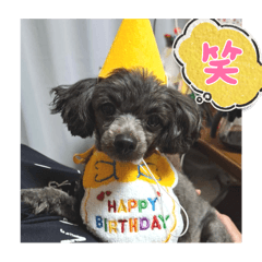 HARUKA_20251010125523