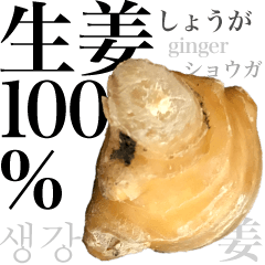 Ginger 100% sticker!!