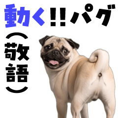 moving pug4