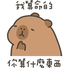 卡比巴拉肥水豚你算什麼