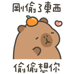 卡比巴拉肥水豚偷偷想你