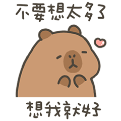 卡比巴拉肥水豚想我就好