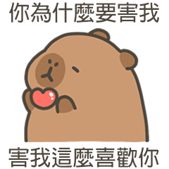 卡比巴拉肥水豚為啥要害我