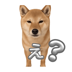 lemon_20251010131433