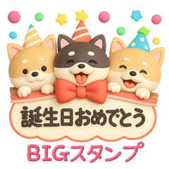 【BIG】柴犬の誕生日＆お祝い＆ありがとう