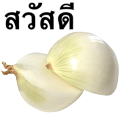 Domestic Onions 7