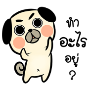 Pong Pong naught pug