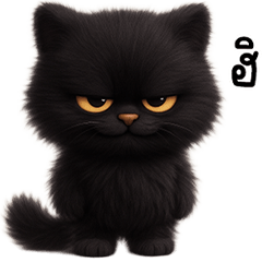 A cute little black cat with big eyes