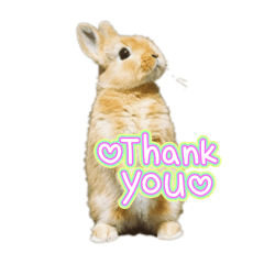 Hiyori_20251010164856