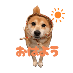 love family_20251010162537