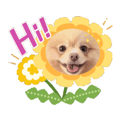 honey_20251010163718