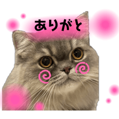 yuka_20251010173047