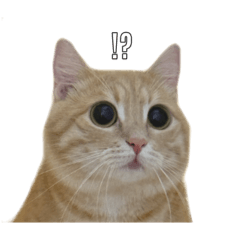 nanami_20251010172435