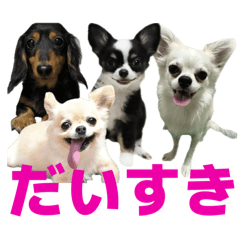 maimai_20251010175156