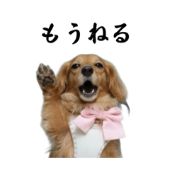 cominomama_20251010213347