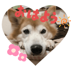 koto_20251010181218