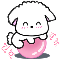 Daily Life of Mona the Dog