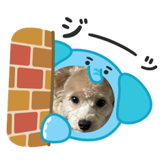 yukki_20251010222348