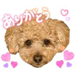 wataame_20251010230059