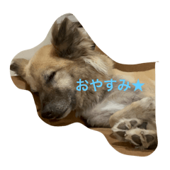 yunah_20251010232323