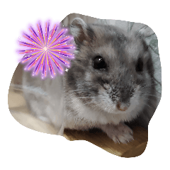 yuuuuuchan_20251010193007