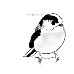 bird enaga