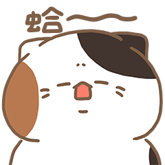 Sanfa cat-Cats earnest random answer