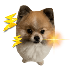 乖乖多多汪汪汪