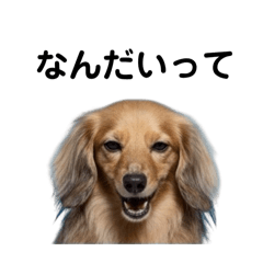 cominomama_20251010211606