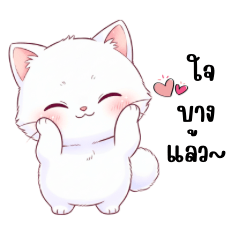 Fluffy cat, cute age