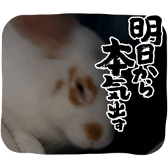 yuumi_20251010211532